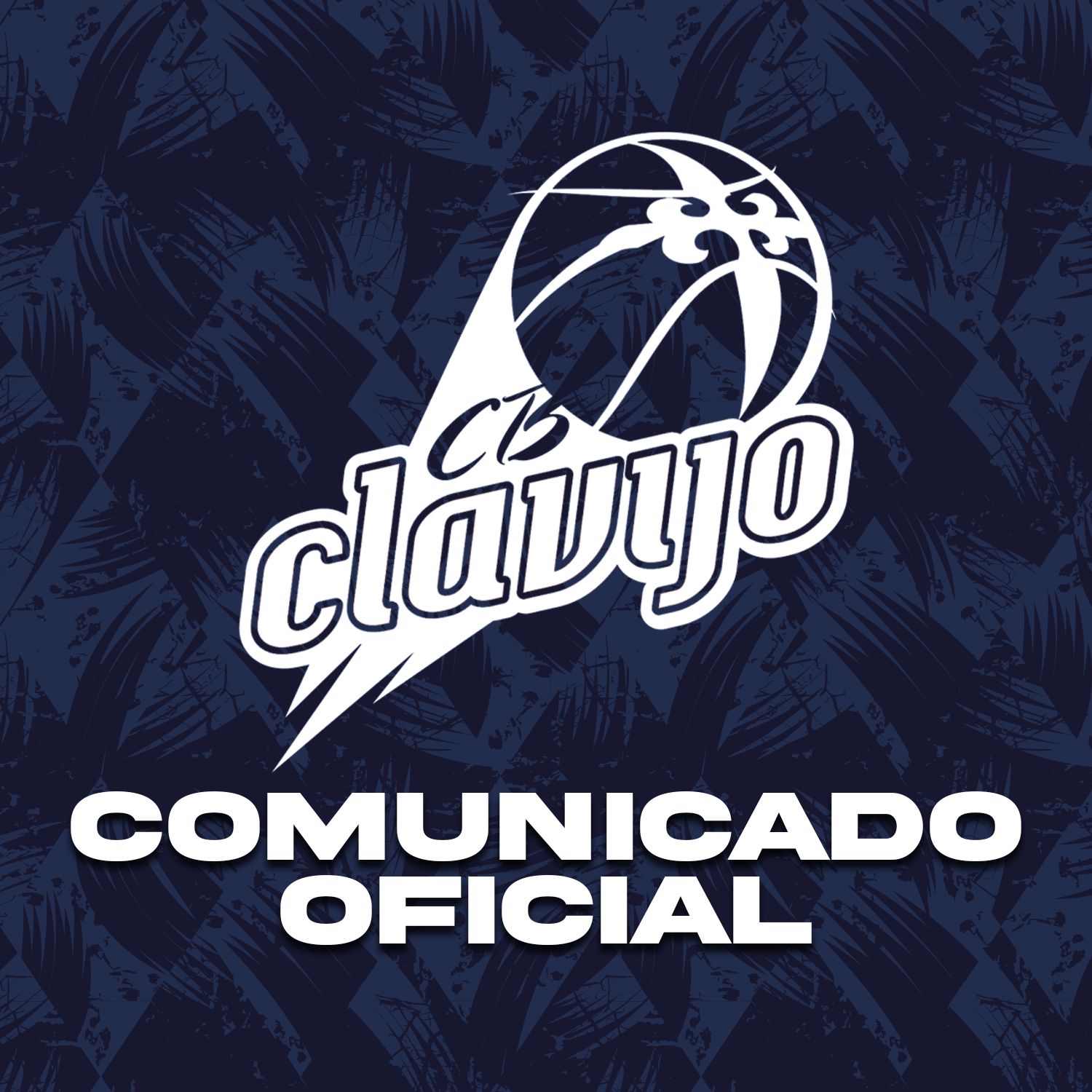 Lee más sobre el artículo Comunicado post partido Rioverde Clavijo – Alimerka Oviedo Baloncesto