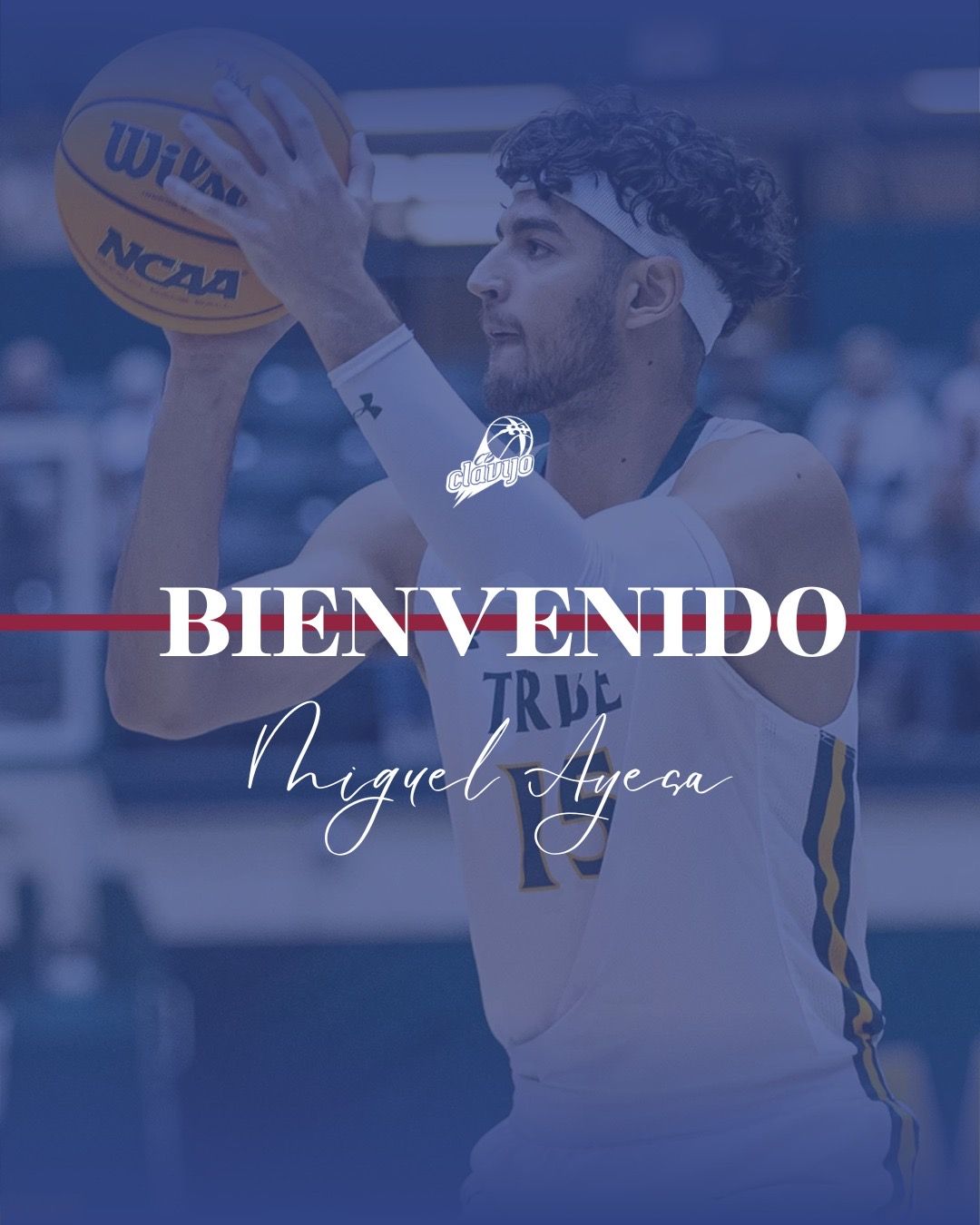 Lee más sobre el artículo Nuevo Fichaje Miguel Ayesa
